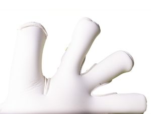 Odiseo - Imagen 3