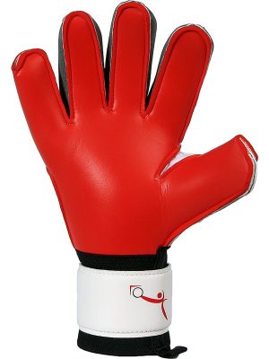 Training Gloves