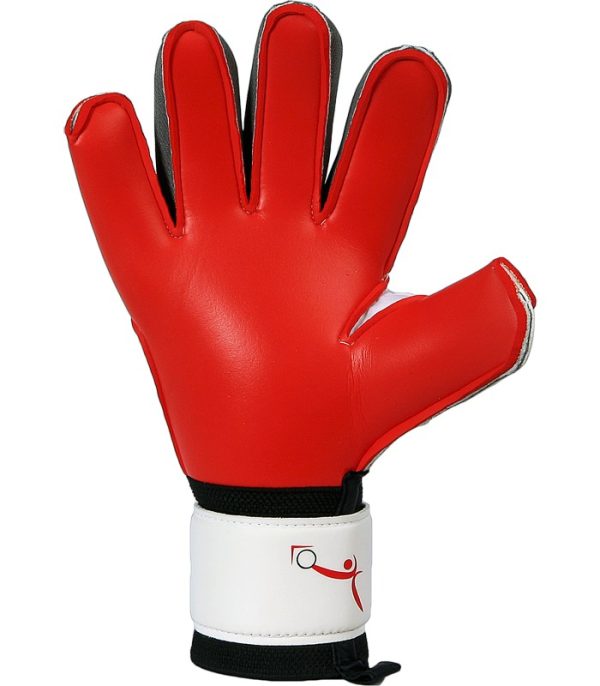 Training Gloves