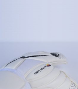Venus - Imagen 3